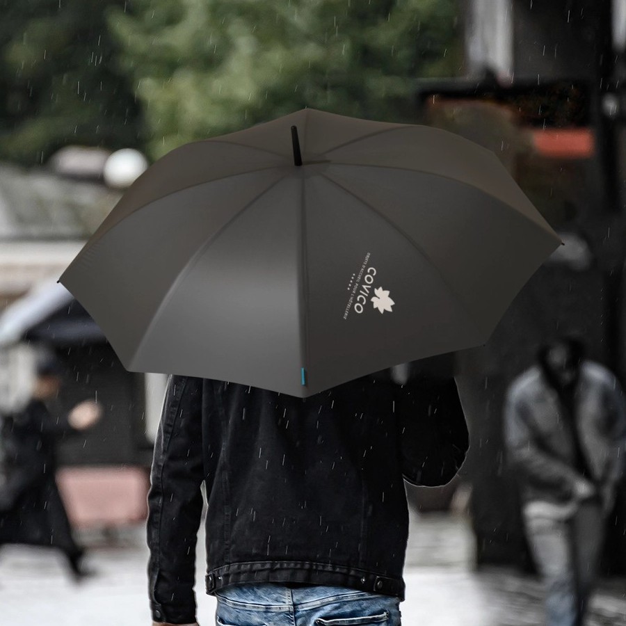 Catalogue parapluies